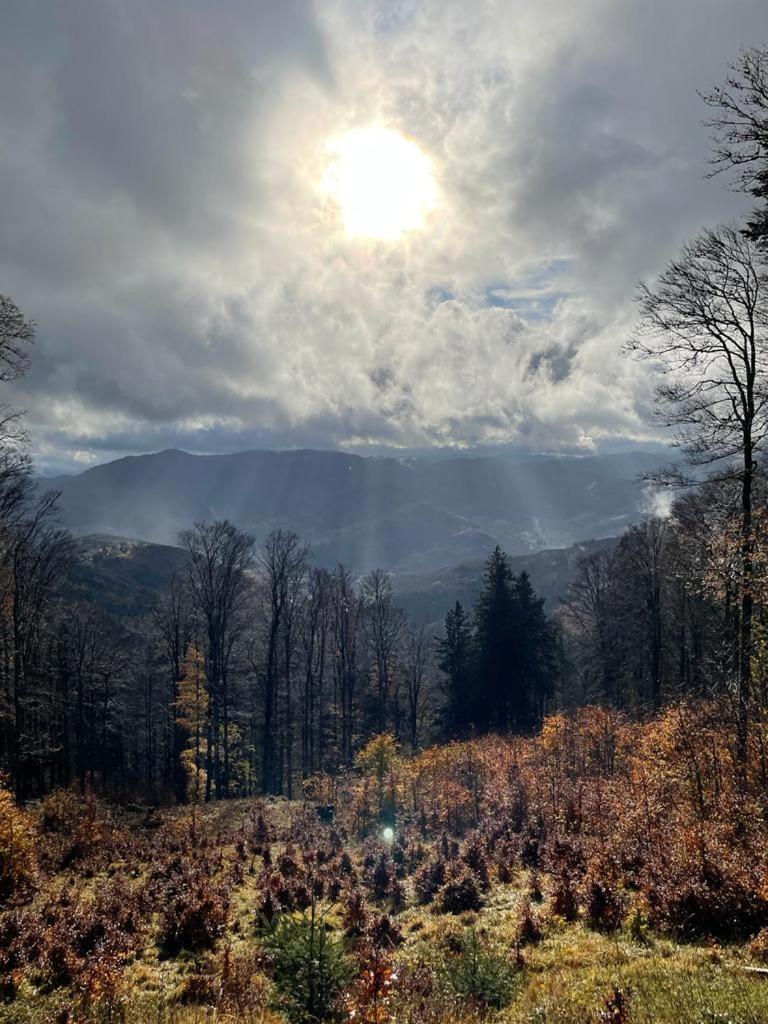 Le Spitzacker Gite Familial Au Calme Husseren-Wesserling Buitenkant foto