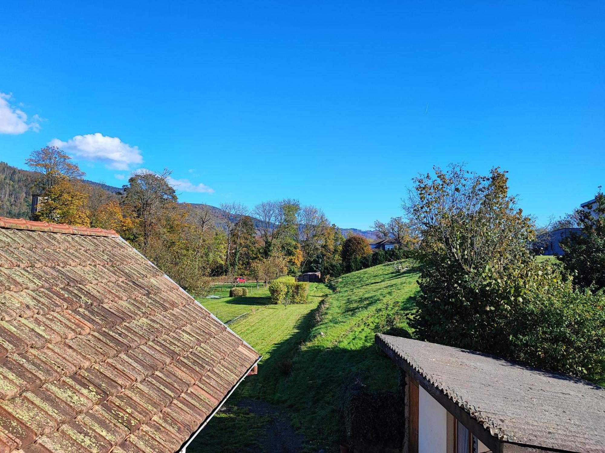 Le Spitzacker Gite Familial Au Calme Husseren-Wesserling Buitenkant foto