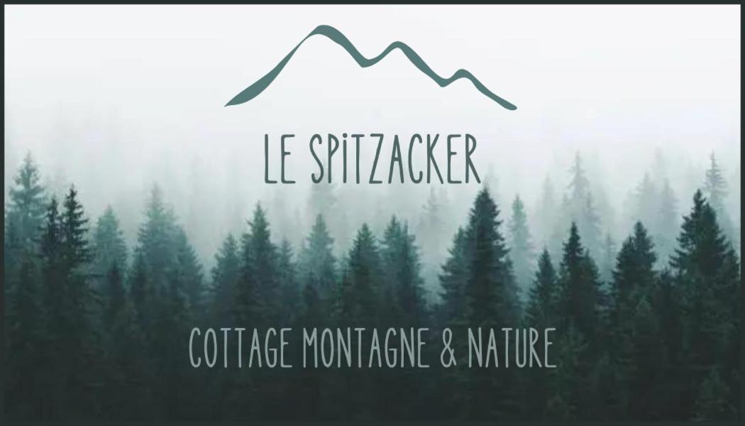 Le Spitzacker Gite Familial Au Calme Husseren-Wesserling Buitenkant foto
